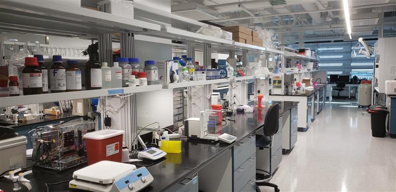 Moore Lab - University of Florida