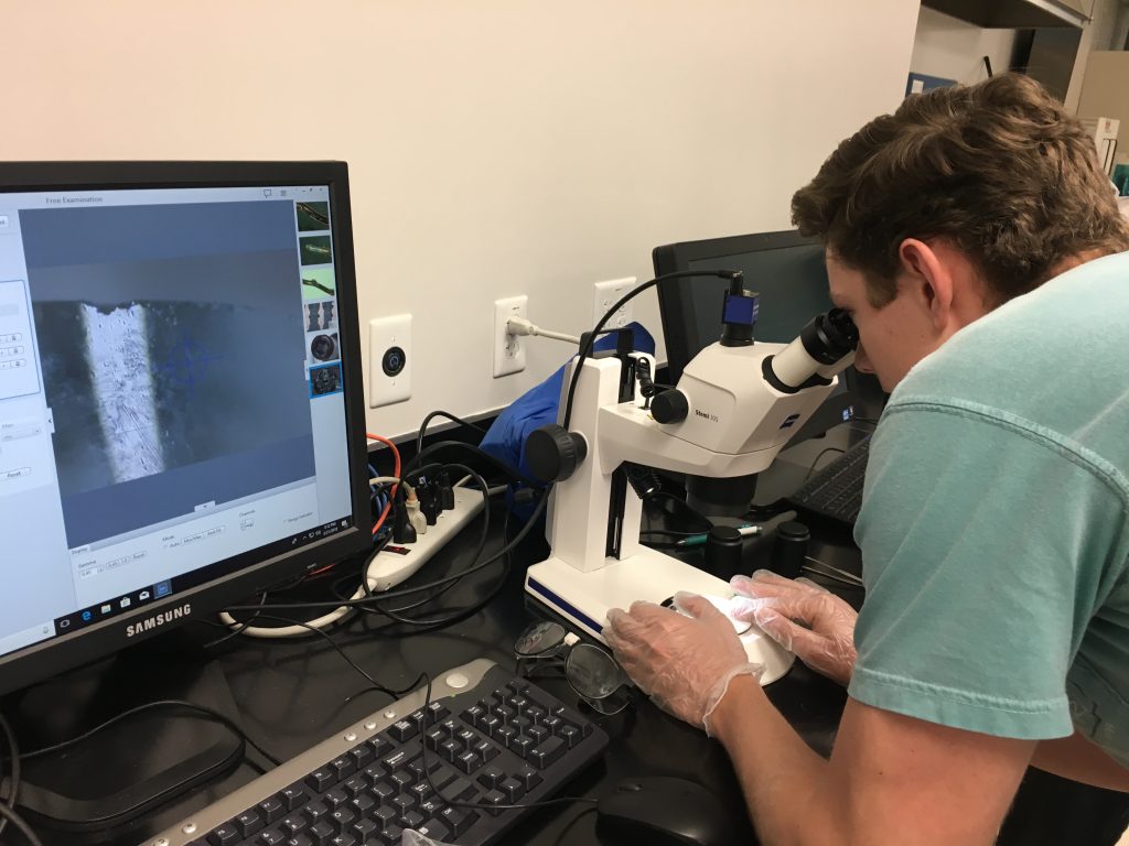Student at microscope