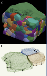 nanoCT grain growth