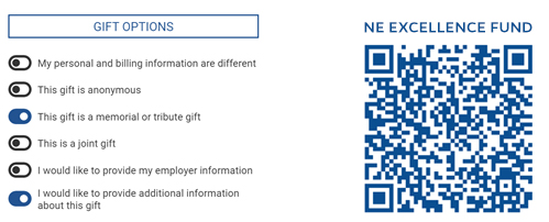 UF NE Excellence Fund details